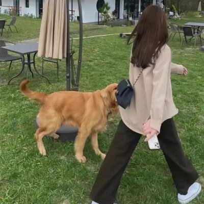 魔术师之梦